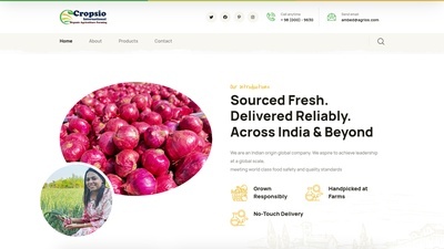 Cropsio International trade business website designed by AshaEbusiness